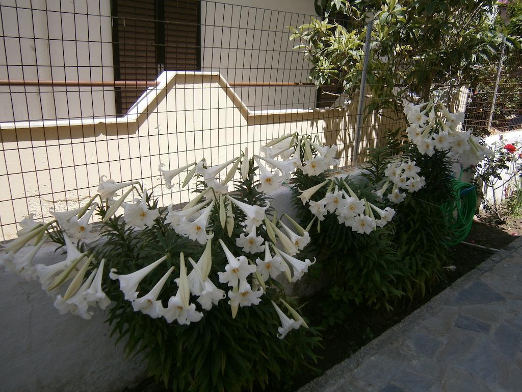 Kardamena  Amfi Apartments מראה חיצוני תמונה